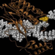 Illustration for article titled Computer science breakthrough: Replicating bacterial communication
